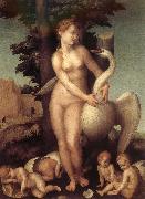 Andrea del Sarto Swan china oil painting reproduction